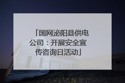 国网泌阳县供电公司：开展安全宣传咨询日活动