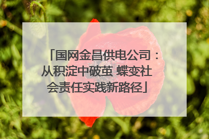 国网金昌供电公司：从积淀中破茧 蝶变社会责任实践新路径