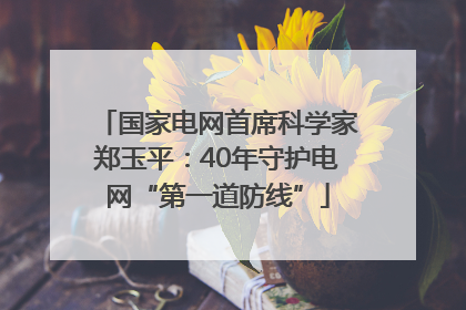 国家电网首席科学家郑玉平：40年守护电网“第一道防线”