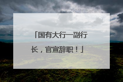 国有大行一副行长，官宣辞职！