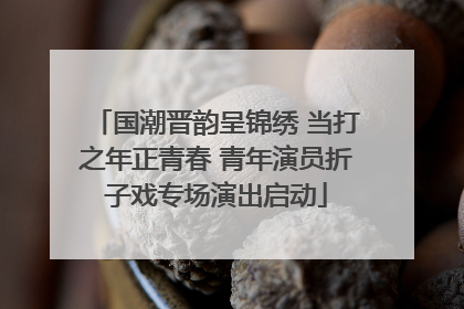 国潮晋韵呈锦绣 当打之年正青春 青年演员折子戏专场演出启动