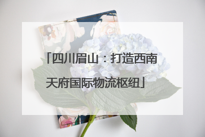 四川眉山：打造西南天府国际物流枢纽