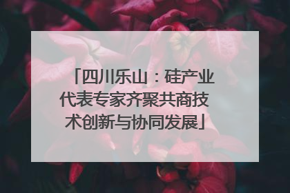 四川乐山：硅产业代表专家齐聚共商技术创新与协同发展