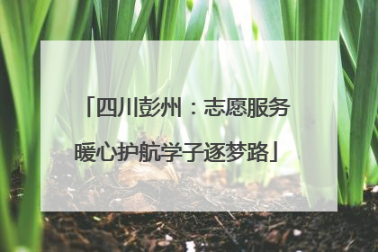 四川彭州：志愿服务暖心护航学子逐梦路