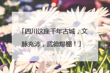 四川这座千年古城，文脉充沛，武德爆棚！