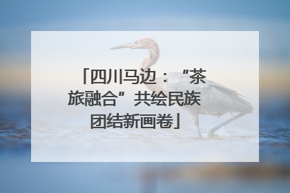 四川马边：“茶旅融合”共绘民族团结新画卷