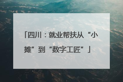 四川：就业帮扶从“小摊”到“数字工匠”