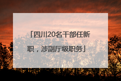 四川20名干部任新职，涉副厅级职务
