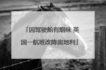 因驾驶舱有烟味 英国一航班改降奥地利