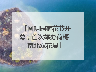 圆明园荷花节开幕，首次举办荷梅南北双花展