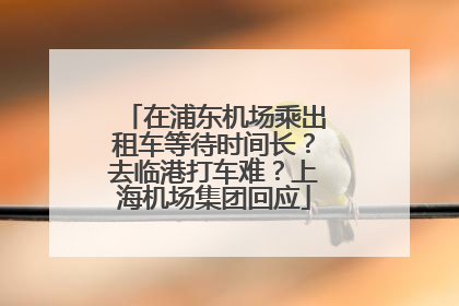 在浦东机场乘出租车等待时间长？去临港打车难？上海机场集团回应