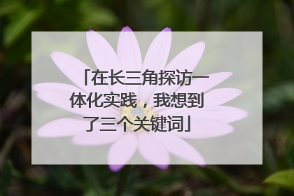 在长三角探访一体化实践，我想到了三个关键词