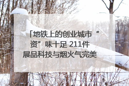 地铁上的创业城市“资”味十足 211件展品科技与烟火气完美融合｜西博视界