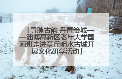 寻脉古韵 丹青绘城——淄博高新区老年大学国画班走进章丘明水古城开展文化研学活动