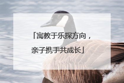 寓教于乐探方向，亲子携手共成长