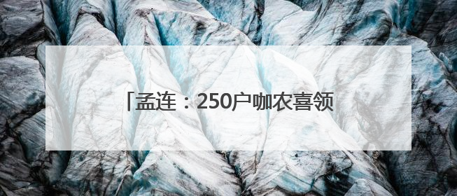 孟连：250户咖农喜领1605万元咖啡鲜果款