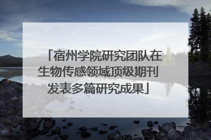 宿州学院研究团队在生物传感领域顶级期刊发表多篇研究成果