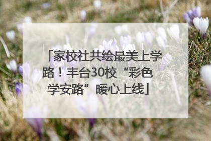 家校社共绘最美上学路！丰台30校“彩色学安路”暖心上线