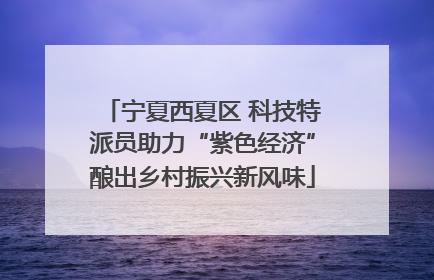 宁夏西夏区 科技特派员助力“紫色经济”酿出乡村振兴新风味