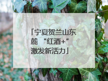 宁夏贺兰山东麓 “红酒+”激发新活力