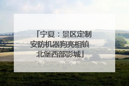 宁夏：景区定制安防机器狗亮相镇北堡西部影城