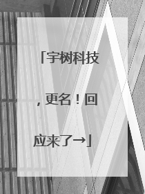 宇树科技，更名！回应来了→