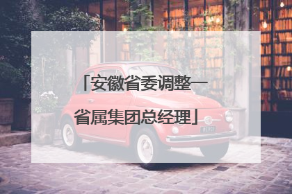 安徽省委调整一省属集团总经理