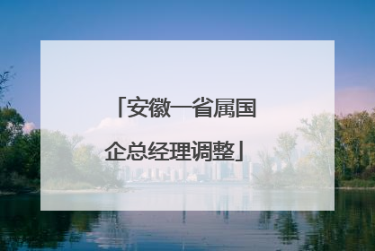 安徽一省属国企总经理调整