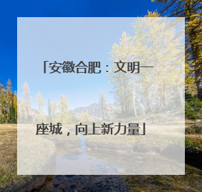 安徽合肥：文明一座城，向上新力量
