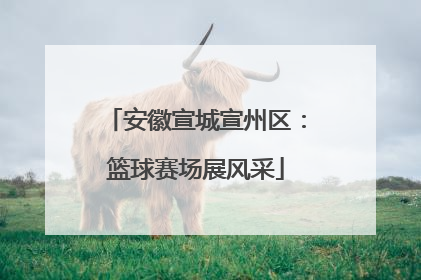 安徽宣城宣州区：篮球赛场展风采