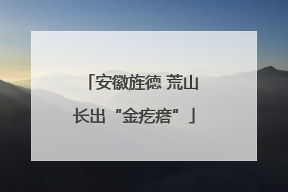 安徽旌德 荒山长出“金疙瘩”