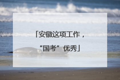 安徽这项工作，“国考”优秀