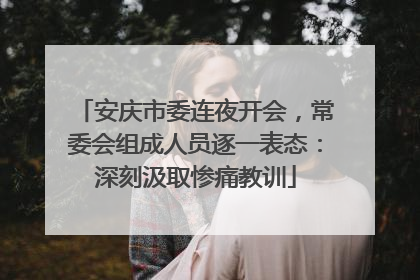 安庆市委连夜开会，常委会组成人员逐一表态：深刻汲取惨痛教训