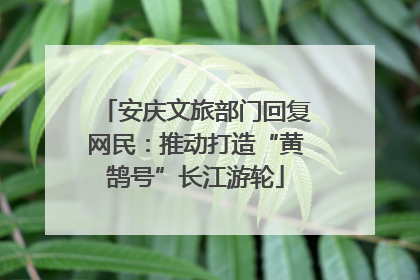 安庆文旅部门回复网民：推动打造“黄鹄号”长江游轮
