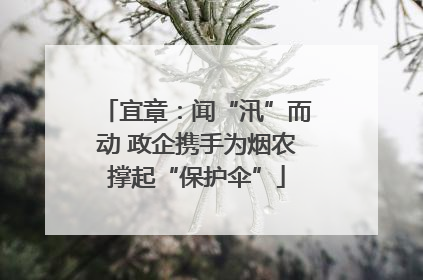宜章：闻“汛”而动 政企携手为烟农撑起“保护伞”
