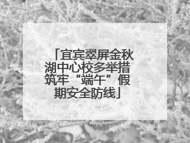宜宾翠屏金秋湖中心校多举措筑牢“端午”假期安全防线