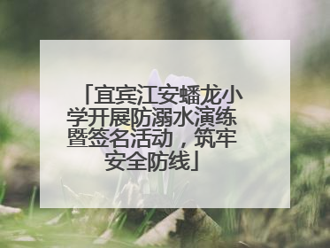 宜宾江安蟠龙小学开展防溺水演练暨签名活动，筑牢安全防线