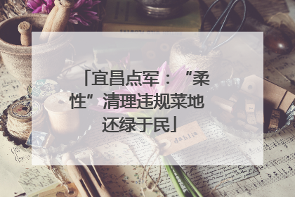 宜昌点军：“柔性”清理违规菜地 还绿于民