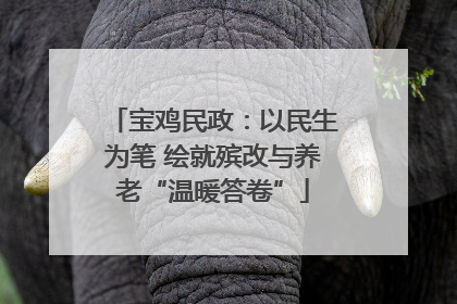 宝鸡民政：以民生为笔 绘就殡改与养老“温暖答卷”