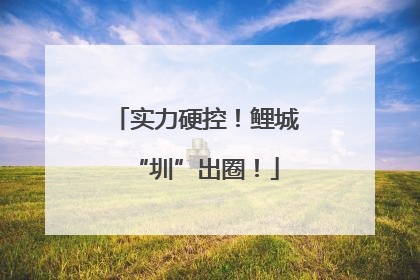实力硬控！鲤城“圳”出圈！