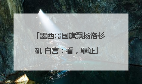 墨西哥国旗飘扬洛杉矶 白宫：看，罪证