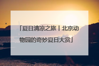 夏日清凉之旅丨北京动物园的奇妙夏日大赏
