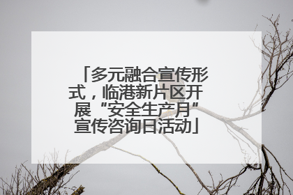 多元融合宣传形式，临港新片区开展“安全生产月”宣传咨询日活动