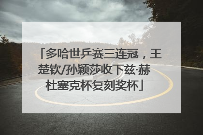 多哈世乒赛三连冠，王楚钦/孙颖莎收下兹·赫杜塞克杯复刻奖杯