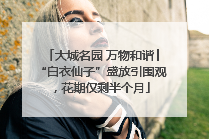 大城名园 万物和谐│“白衣仙子”盛放引围观，花期仅剩半个月
