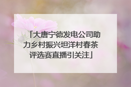 大唐宁德发电公司助力乡村振兴坦洋村春茶评选赛直播引关注