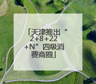 天津推出“2+8+22+N”四级消费商圈
