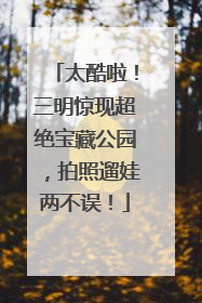 太酷啦！三明惊现超绝宝藏公园，拍照遛娃两不误！