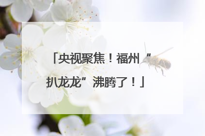 央视聚焦！福州“扒龙龙”沸腾了！