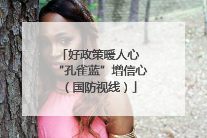 好政策暖人心 “孔雀蓝”增信心（国防视线）